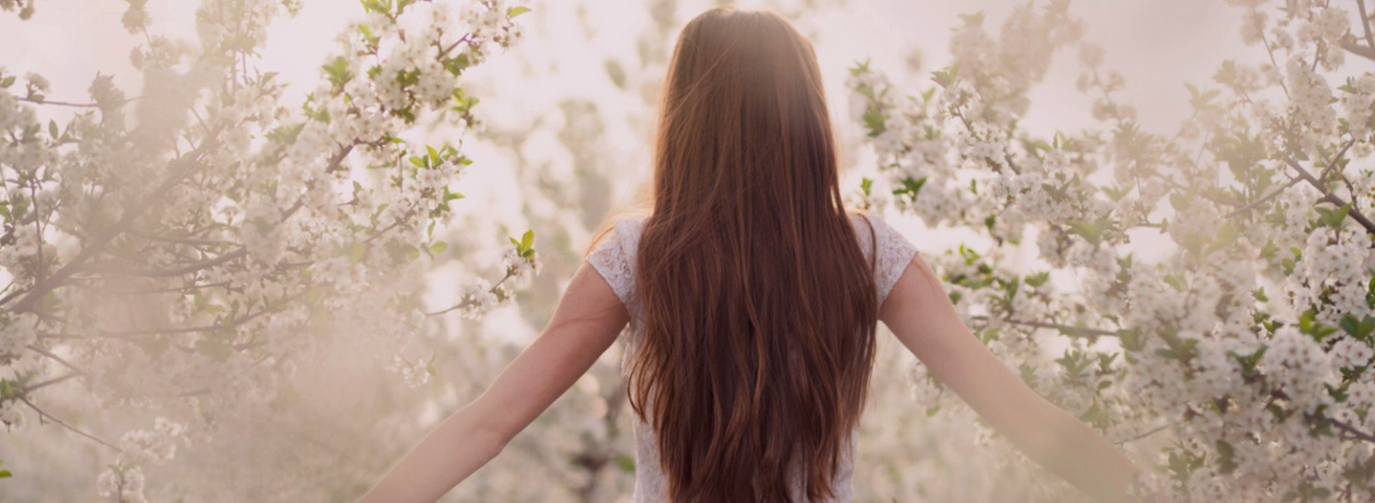 home header