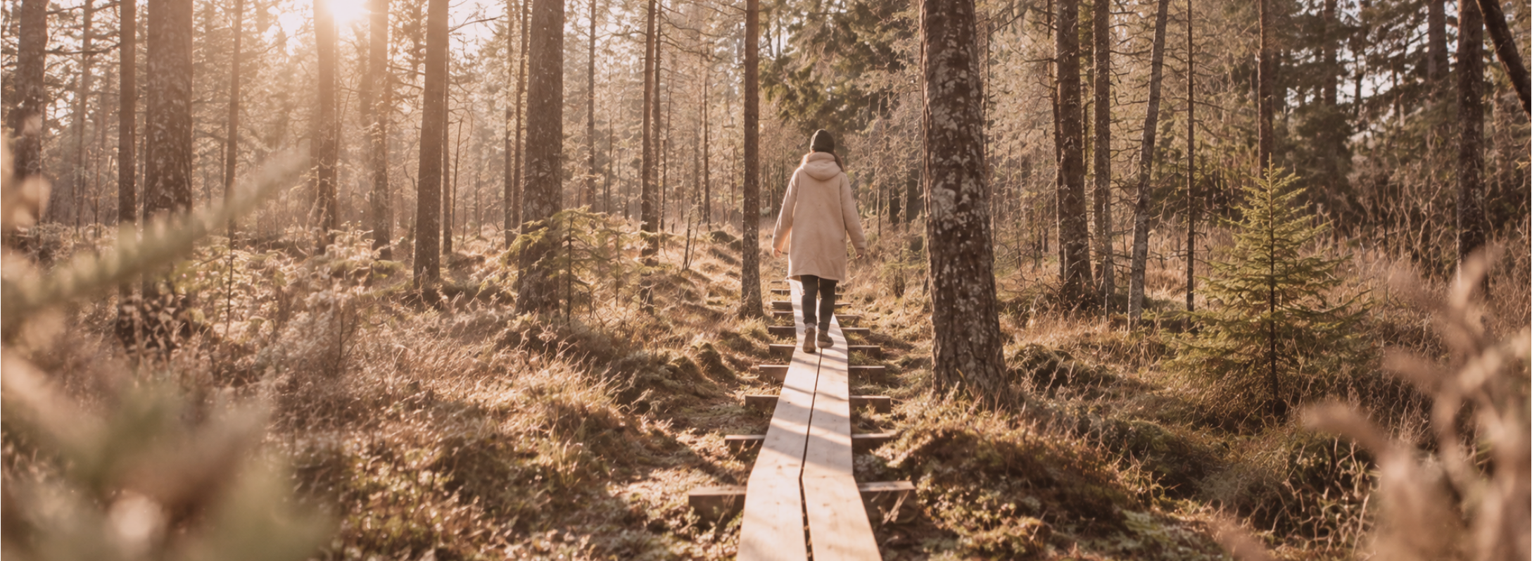 home header