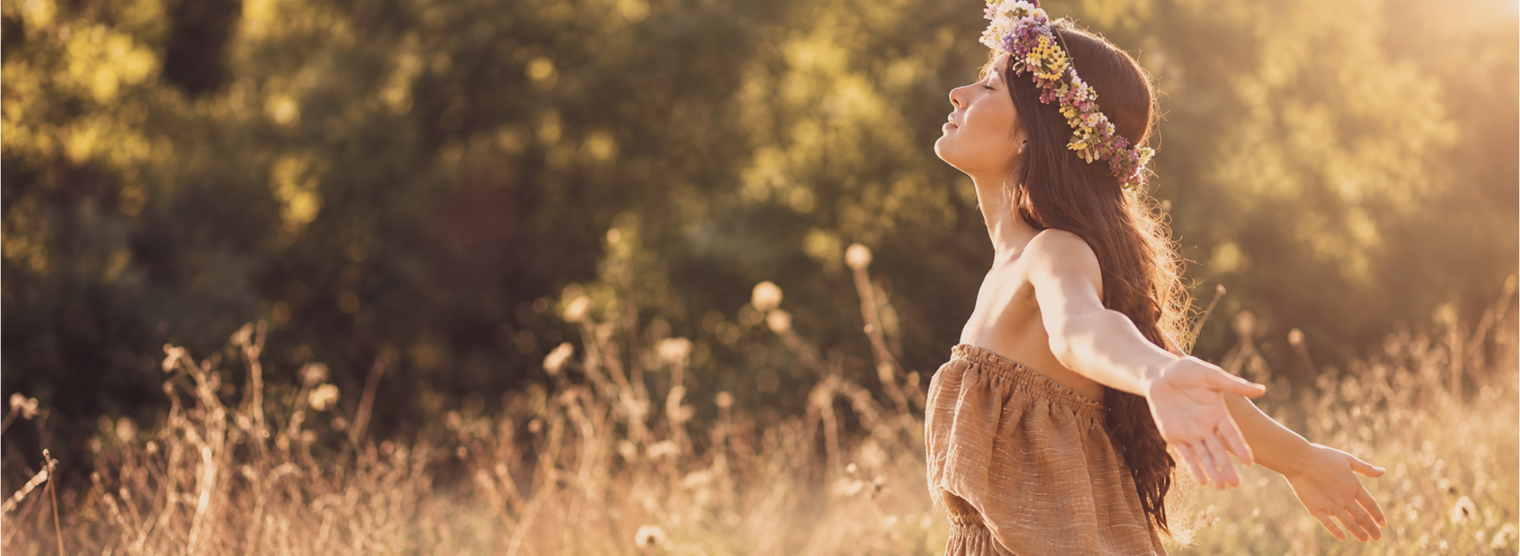 home header