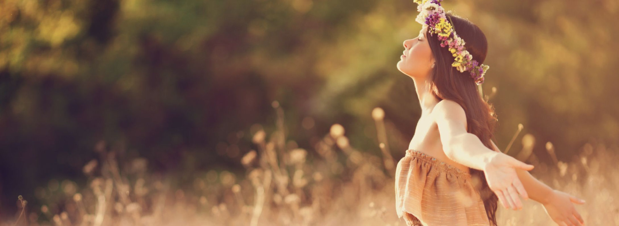 home header
